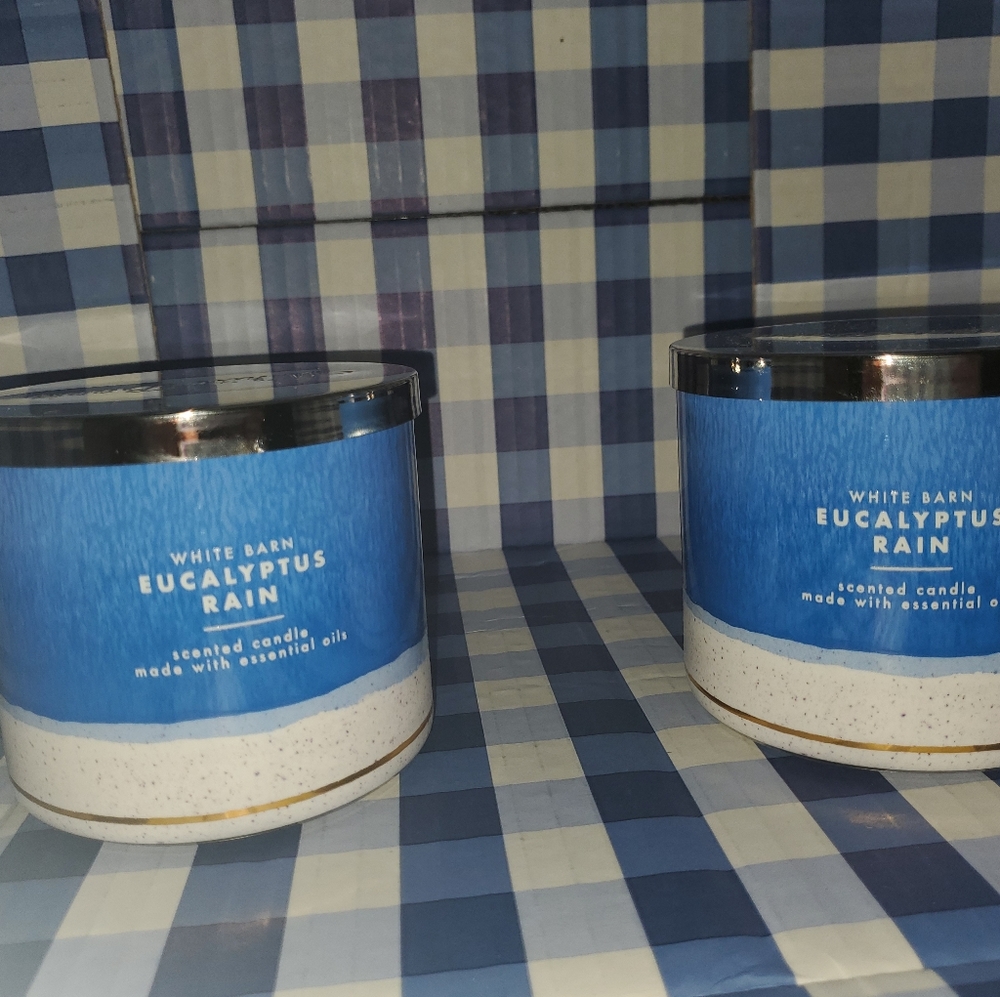 Eucalyptus rain  scented 3 wick candle